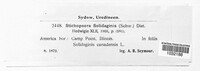 Coleosporium asterum image